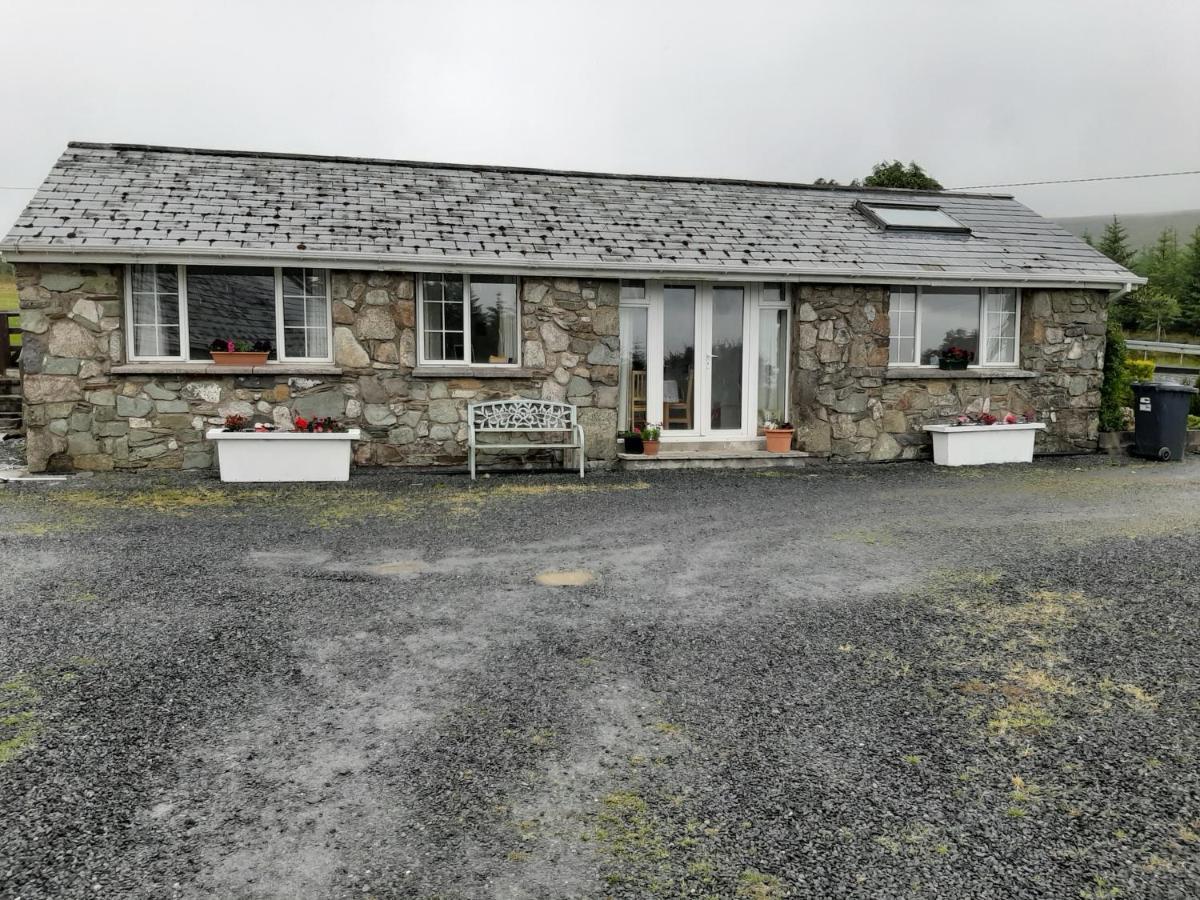 The Lodge Guesthouse Brittas Extérieur photo